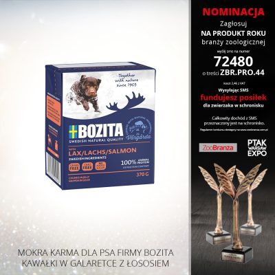 BOZITA KAWAŁKI W GALARETCE Z ŁOSOSIEM