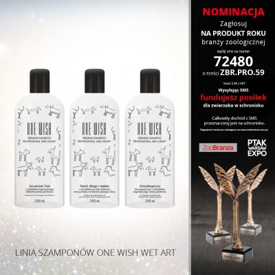 LINIA SZAMPONÓW ONE WISH WET ART