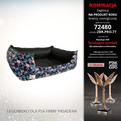LEGOWISKO DLA PSA FIRMY PASADENA