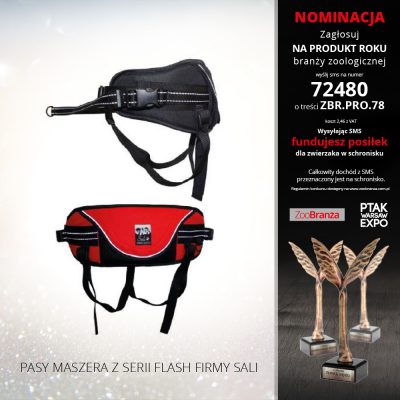 PASY MASZERA Z SERII FLASH FIRMY SALI