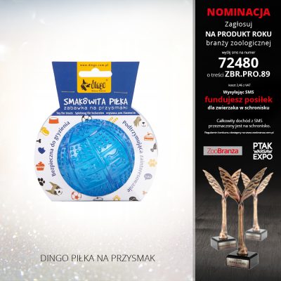 DINGO PIŁKA NA PRZYSMAK